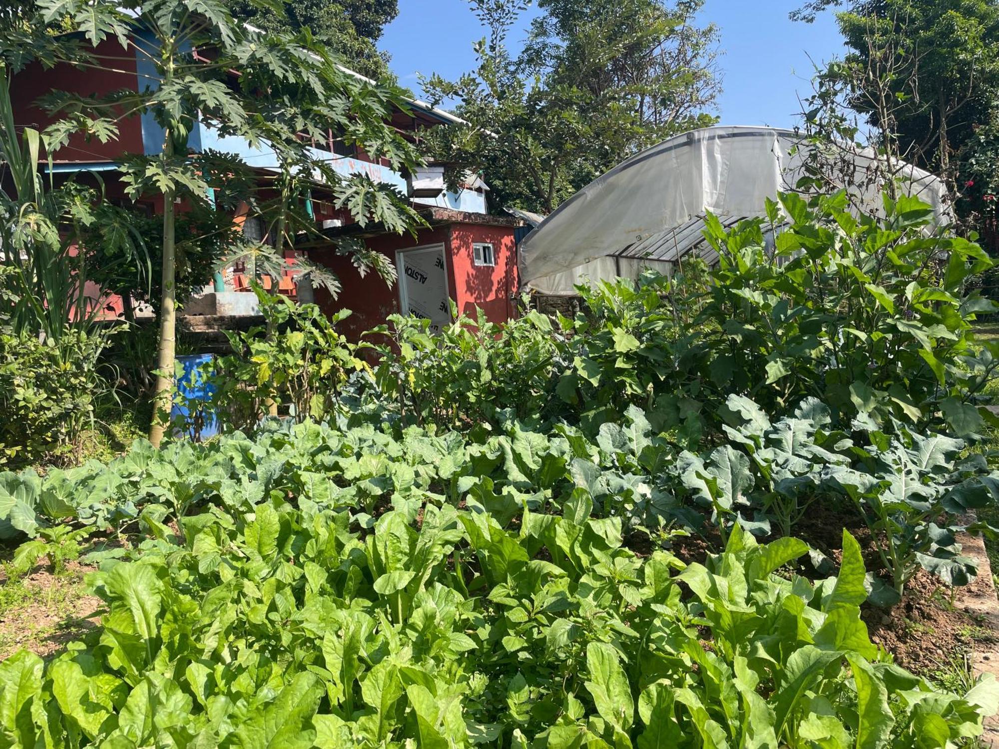 Himalaya Serene View Guest House & Farm Stay Deorāli Exterior foto